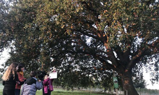 Students filmin ourdoors during the workshop